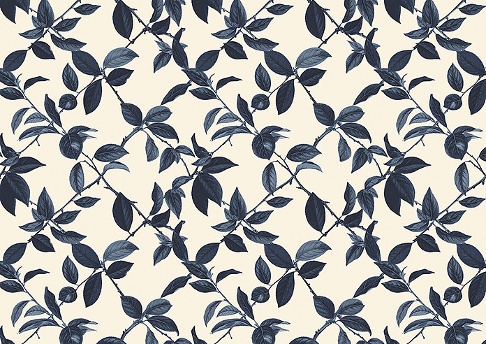 Plum Line, Hudds - Twist&Fit Roller Blind - Image 6